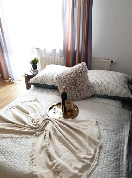 Apartament Dominik Закопане Экстерьер фото