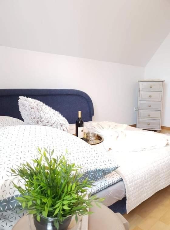 Apartament Dominik Закопане Экстерьер фото