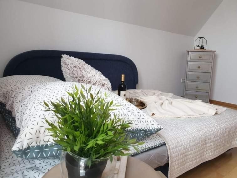 Apartament Dominik Закопане Экстерьер фото